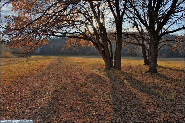 ***. Осенний пейзаж, пейзаж, пейзажи Урюпинского района