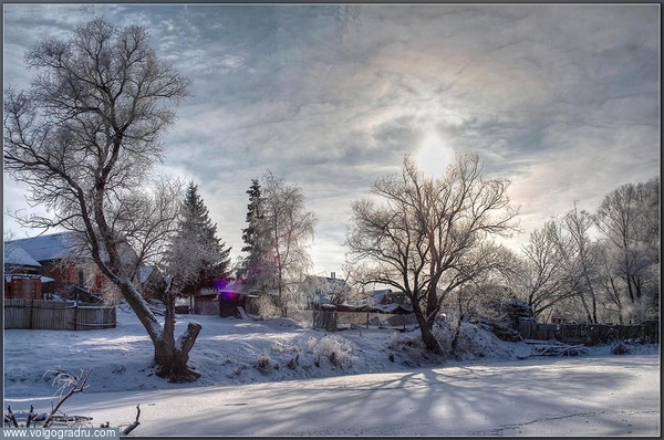 Из серии: "За околицей...". зимний пейзаж, пейзажи Урюпинского района, "остров-1"