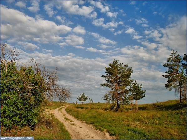 1 мая, как часто бывает, погода выдалась хорошей.... пейзаж, пейзажи Урюпинского района, дорога