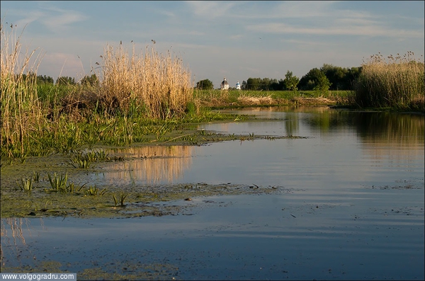 Река Ольшанка2.. пейзажи Урюпинского района, пейзаж, 
