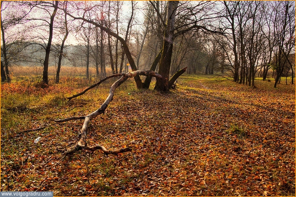 ****. пейзаж, пейзажи Урюпинского района, осень