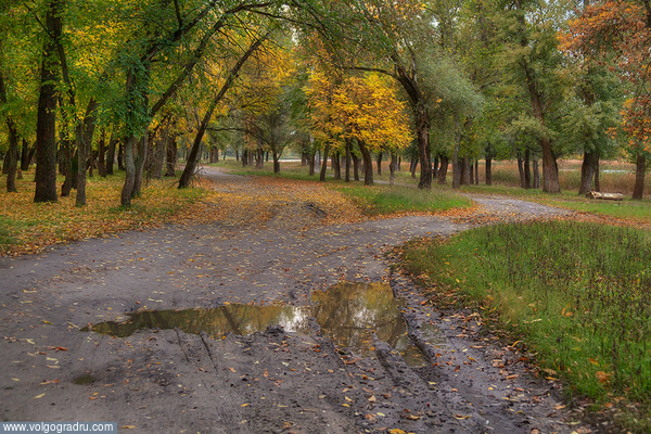 **. пейзаж, пейзажи Урюпинского района, ранняя осень