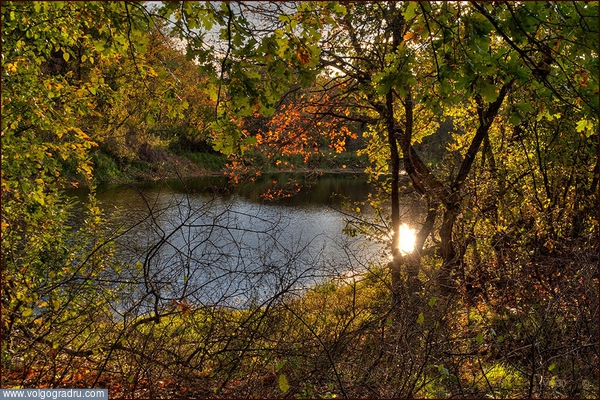 ***. лесное озеро, пейзажи Урюпинского района, пейзаж