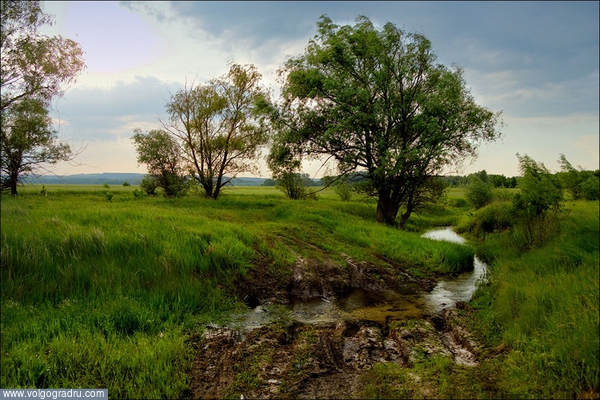 ***. пейзаж, пейзажи Урюпинского района, ручей