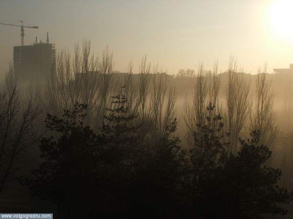 Стена золотого тумана. Волгоград, Царица, туман