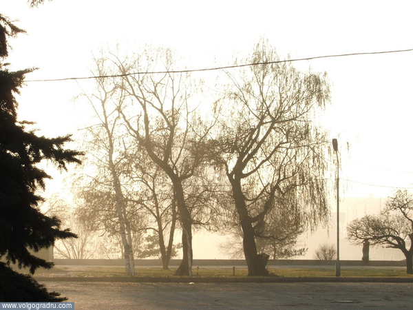 Стена золотого тумана. Волгоград, Царица, туман