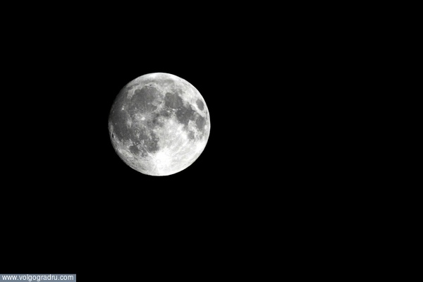 moon. луна, природа, ночь
