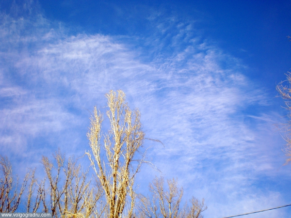 февральское небо. небо, облака, февраль