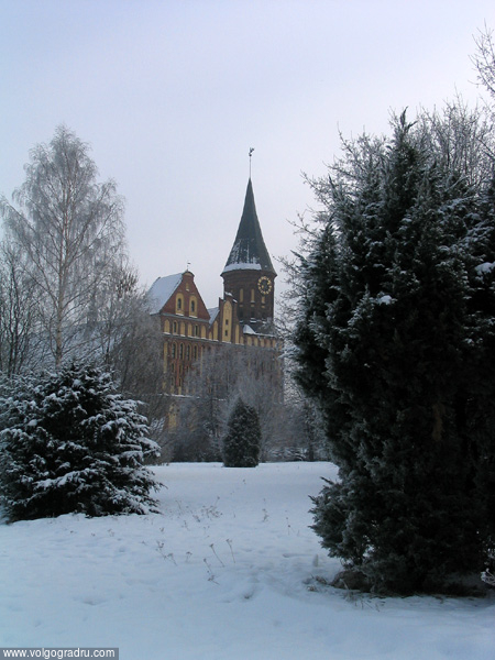 Калининградский кафедральный собор зимой. зима, собор, Калининград