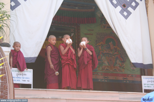 маленькие монахи. Непал, буддизм, 
