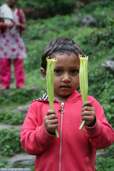 цветочки. Непал, мальчик с цветами, дети
