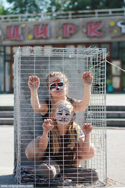 Митинг в Волгограде 8 июня против использования животных в цирках. цирк, животные, дети