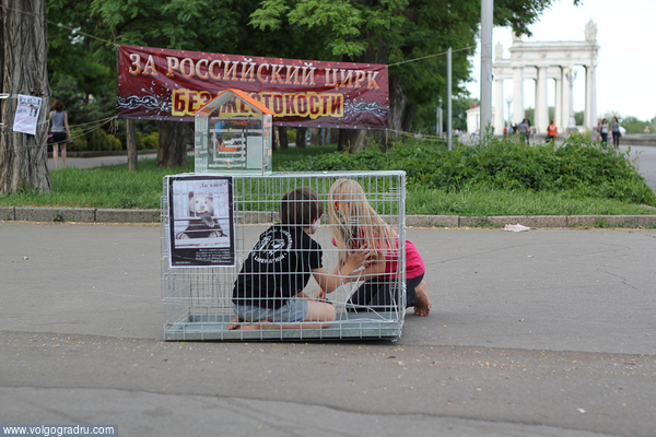 31 мая на Центральной набережной Волгограда состоялась акция "За российский цирк без жестокости - цирк без животных". цирк, животные, права животных