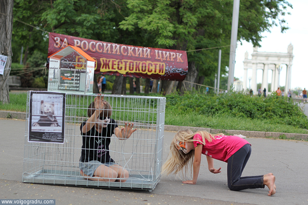 31 мая на Центральной набережной Волгограда состоялась акция "За российский цирк без жестокости - цирк без животных". цирк, животные, зоозащитники