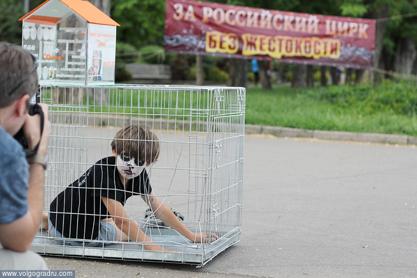31 мая на Центральной набережной Волгограда состоялась акция "За российский цирк без жестокости - цирк без животных". митинг в защиту прав цирковых животных, 
