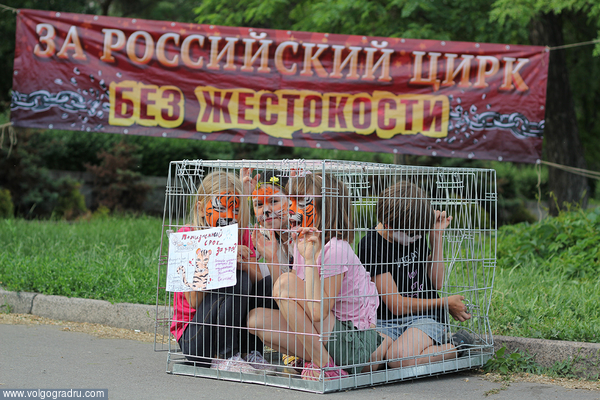 31 мая на Центральной набережной Волгограда состоялась акция "За российский цирк без жестокости - цирк без животных". цирк, цирк с животными, митинг