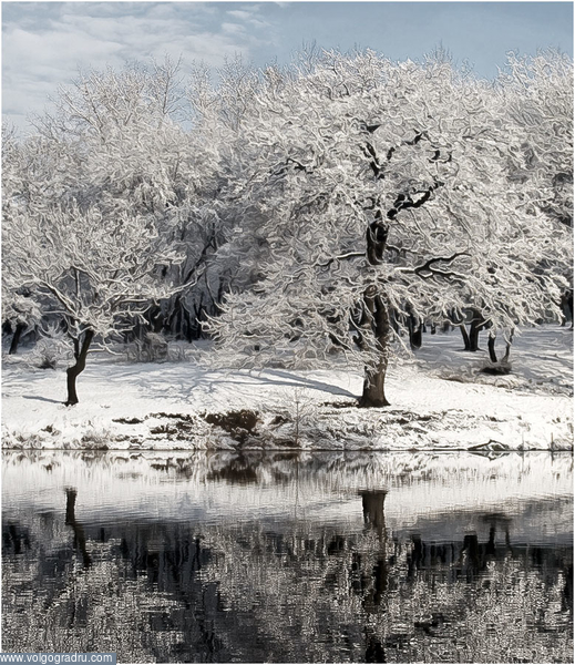 Рапсодия зимы. зимний пейзаж, деревья в снегу, отражение деревьев