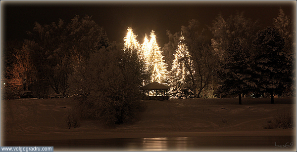 Праздничная иллюминация повсюду в Финляндии, даже в лесу! . взгляд, пейзаж, финляндия