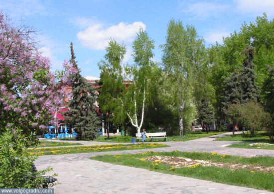 Парк перед библиотекой Горького. фото, улица, парк