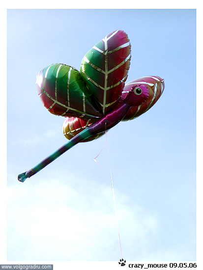 Воздушный шарик. Победа, День победы - 2006, 9