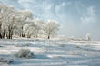 Зимний пейзаж с кремовым оттен