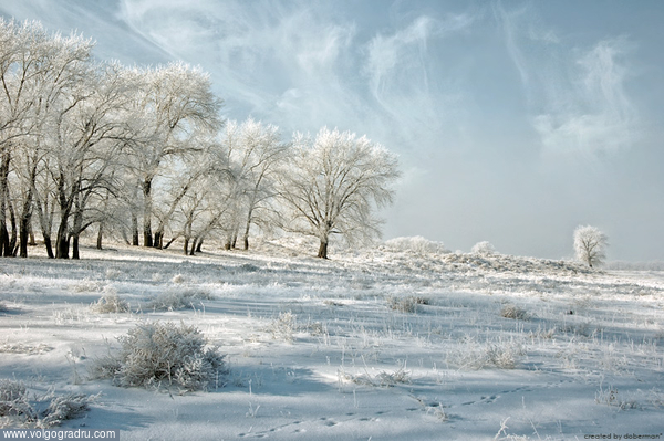Зимний пейзаж с кремовым оттенком. 
