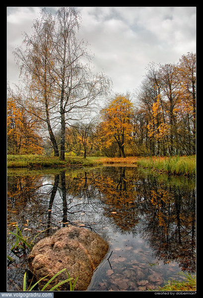 картинка. осень, пруд, озеро