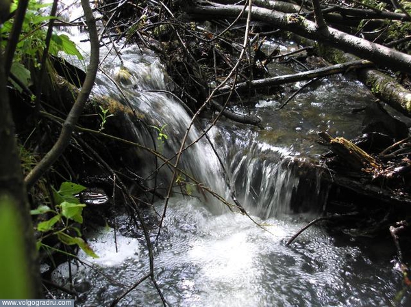 Талая вода.. природа, лес, ручей
