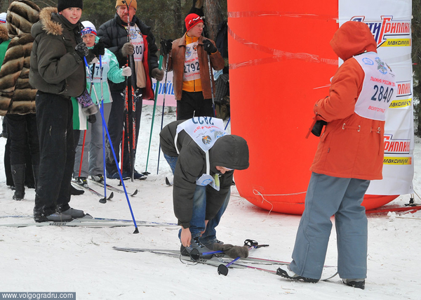 Подготовка к соревнованиям. Лыжня России, лыжи, лыжники