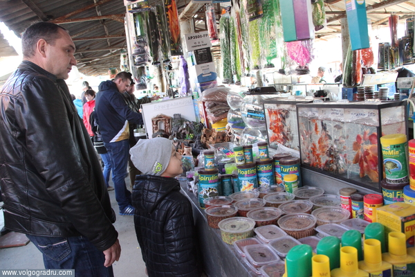 Птичий рынок Волгограда – экскурсия  в прошлое. Раритетные вещи, Волгоград, птичий рынок
