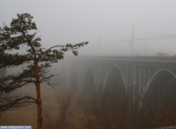 Мост. Волгоград, мост, туман