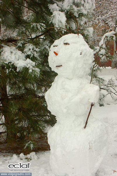 Снеговик. снеговик, елка, ель