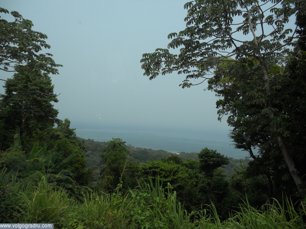 Остров Роатан (Гондурас).. джунгли, Круз, путешествия