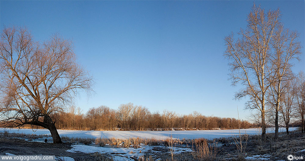 Утро на озере. утро озеро камыш лед деревья небо, 