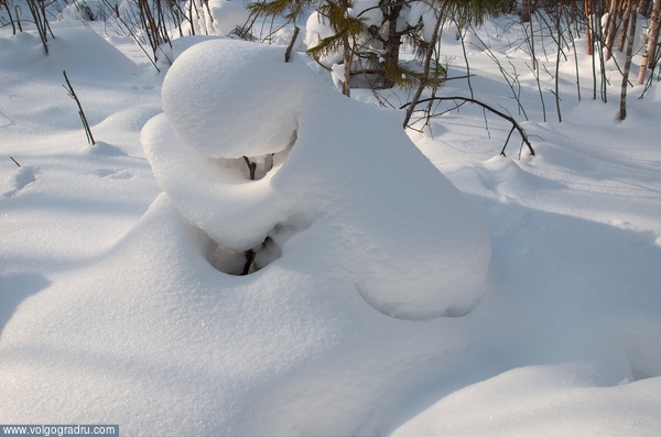 Эта снежная фигура напомнила мне склонившуюся женщину.. снег, лес, 