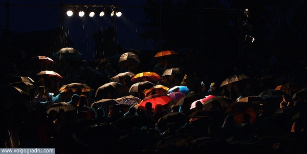 Дождь не испортил концерта. зрители, дождь, зонт