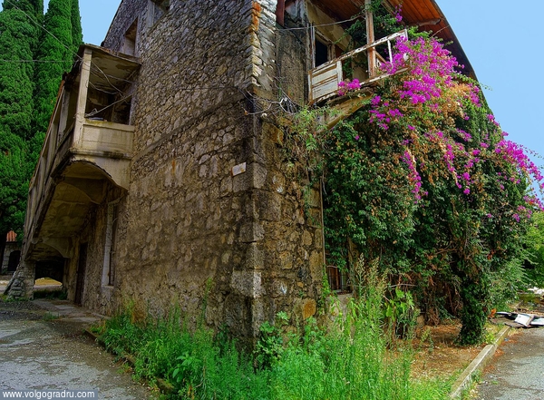 Заброшенный дом. лето, субтропики, Абхазия