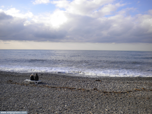 Черное море. Январь.. море, природа, отдых
