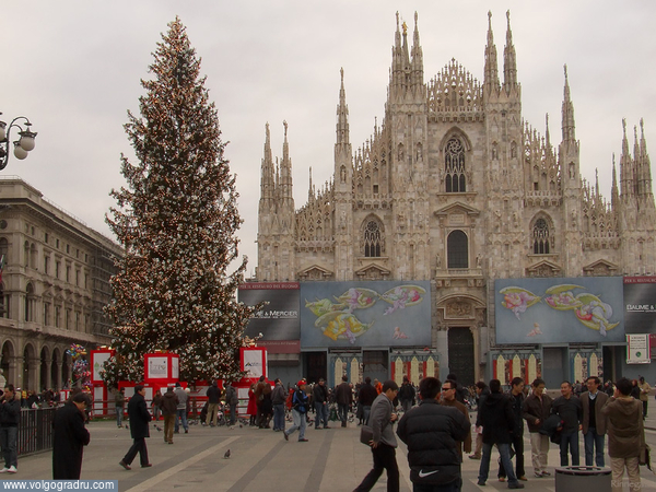 Самая большая елка Италии. самая большая елка Италии, Италия, новый год в Италии