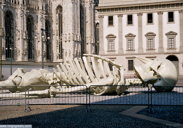 Современная скульптура на улицах Милана 4. скелет, Италия, Очевидное