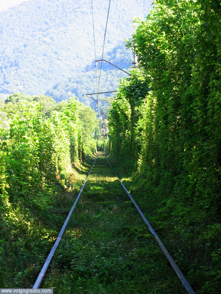 Действующая железная дорога в Гаграх, по которой перебрасывались российские войска на юг Абхазии.... Абхазия, Гагры, железная дорога