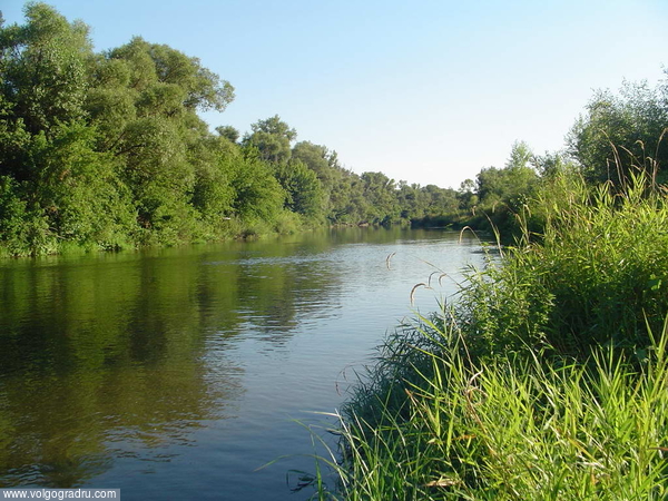 Река Медведица около села Егоровка. Медведица, Волгоградская, Волгоградская область 