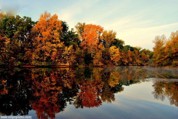 Осенние мотивы. осень, краски, вода