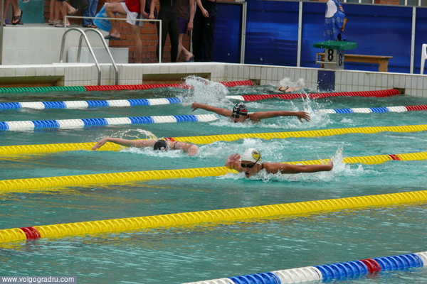 Предварительный заплыв на 200 м баттерфляем у девушек. 13.06.08, утро.. плавание, спорт, бассейн «Искра»