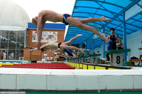 Старт предвартельного заплыва на 100 м вольным стилем у юношей. 13.06.08, утро.. плавание, спорт, бассейн «Искра»