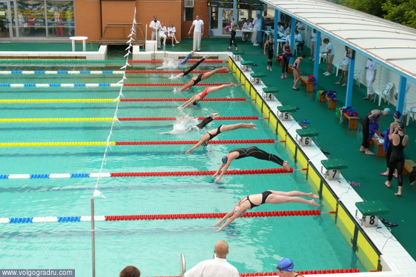 Старт предварительного заплыва на 100 м вольным стилем у девушек. Вид с трибуны. 13.06.08, утро.. плавание, спорт, бассейн «Искра»