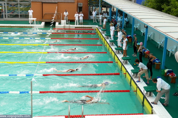 Финиш предварительного заплыва на 100 м вольным стилем у девушек. 13.06.08, утро.. плавание, спорт, бассейн «Искра»