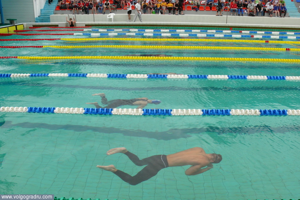 Предварительный заплыв на 100 м брассом у юношей. Кажется, что они просто замерли под водой. 13.06.08, утро.. плавание, спорт, бассейн «Искра»