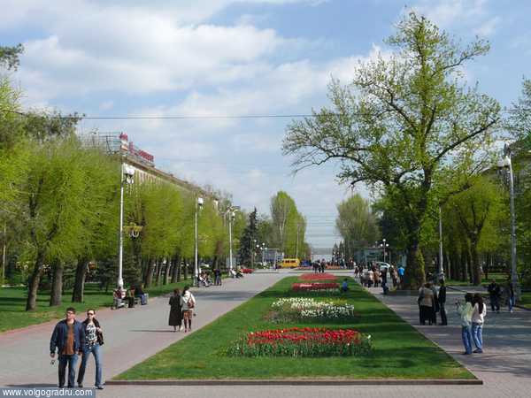 Аллея Героев, 20 апреля 2008. Вид в сторону Волги.. Волгоград, Аллея Героев, весна