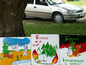Плакаты в защиту природы